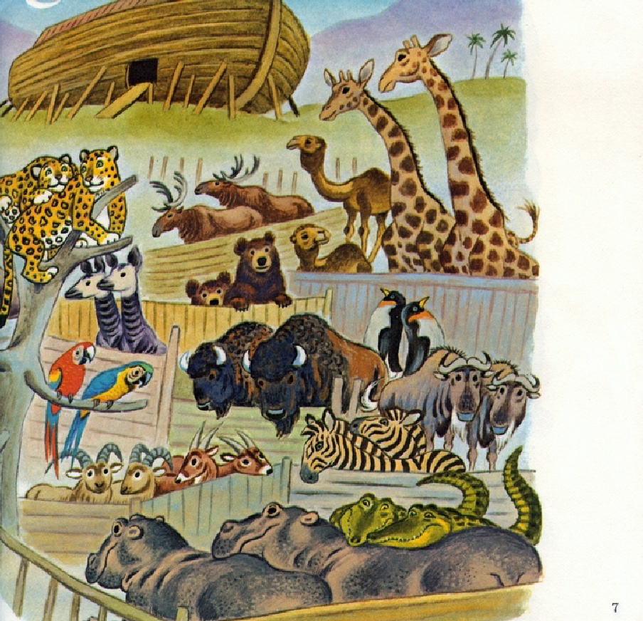 Noah's Ark (09),绘本,绘本故事,绘本阅读,故事书,童书,图画书,课外阅读